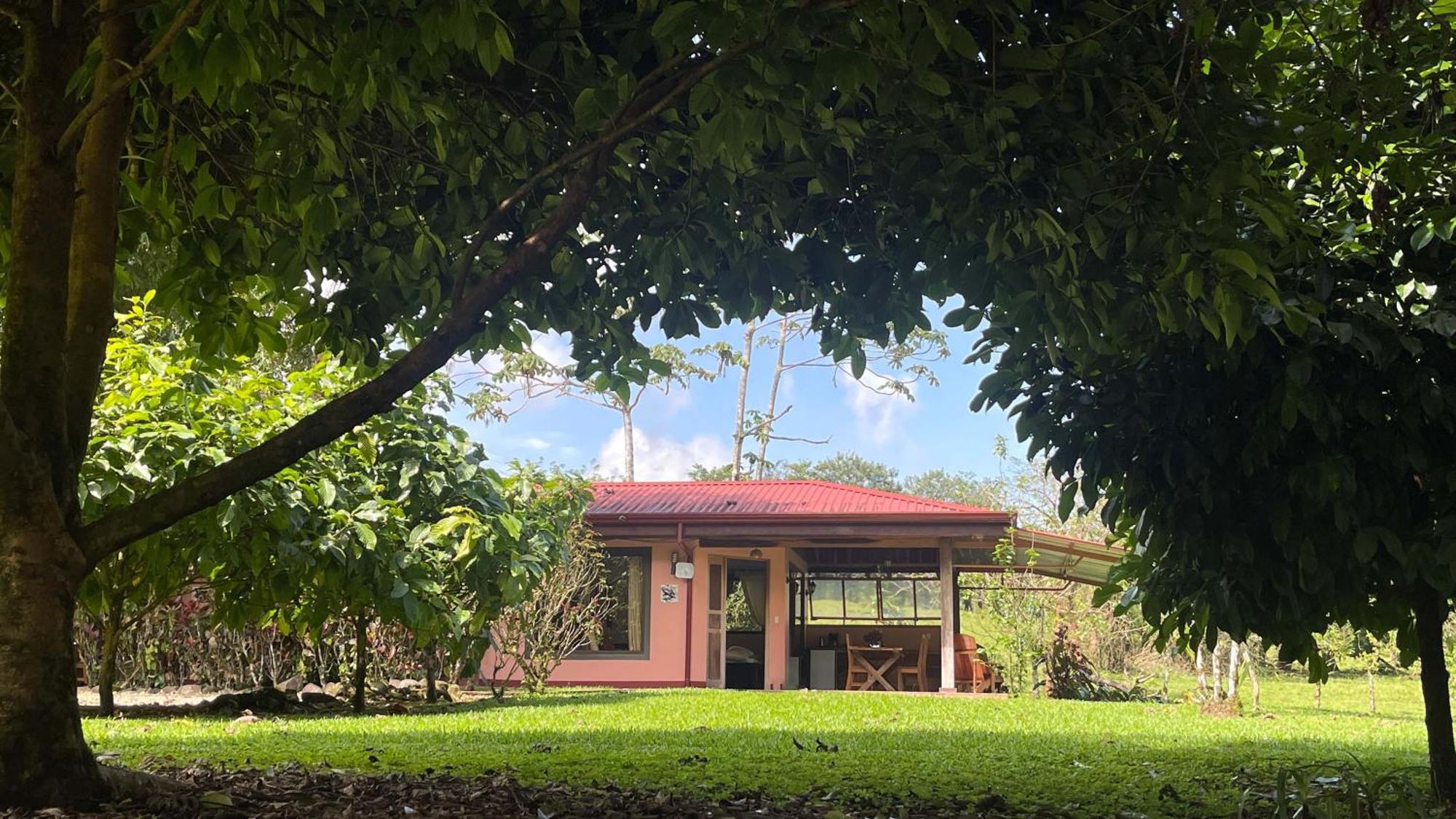 Mei Tai Cacao Lodge Bijagua de Upala Exterior foto