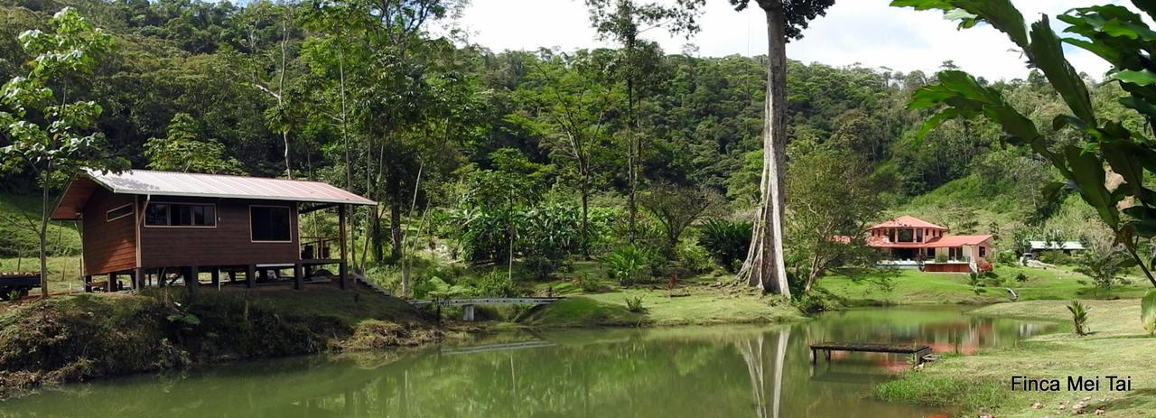Mei Tai Cacao Lodge Bijagua de Upala Exterior foto