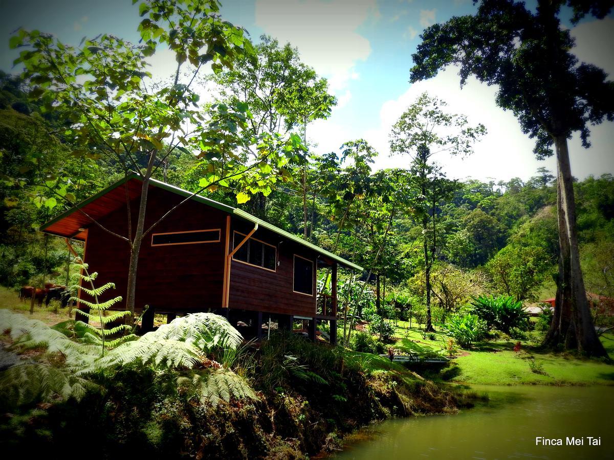 Mei Tai Cacao Lodge Bijagua de Upala Exterior foto