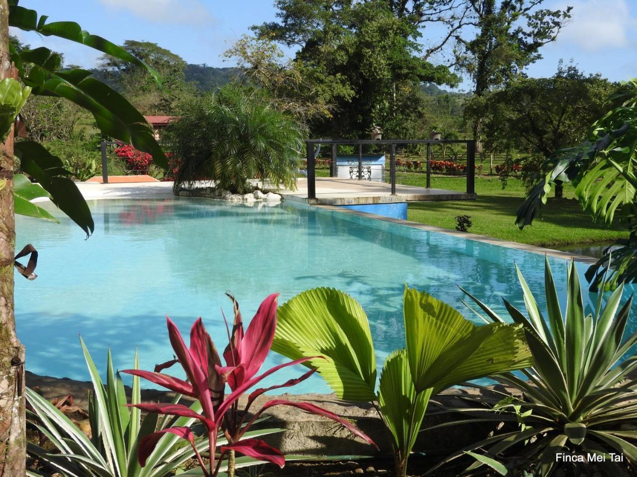 Mei Tai Cacao Lodge Bijagua de Upala Exterior foto